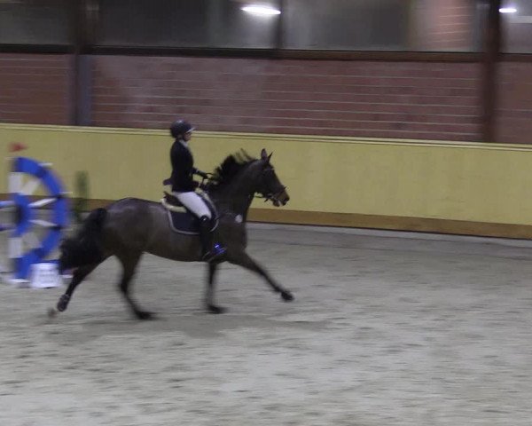 Reitturnier Hamburg-Friedrichshulde/Sylva Kuhrt 2022