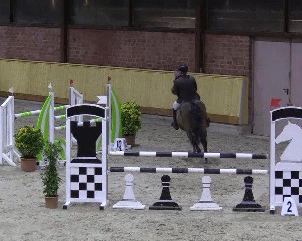 Reitturnier Hamburg-Friedrichshulde/Sylva Kuhrt 2022