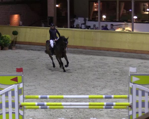 Reitturnier Hamburg-Friedrichshulde/Sylva Kuhrt 2022