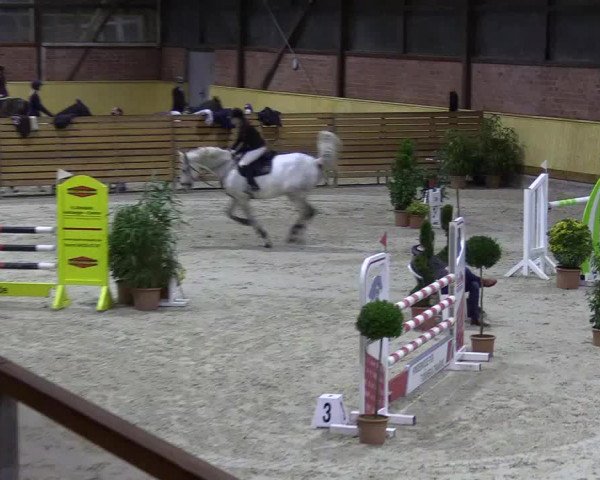 Reitturnier Hamburg-Friedrichshulde/Sylva Kuhrt 2022