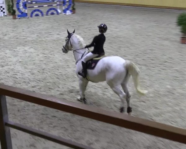 Reitturnier Hamburg-Friedrichshulde/Sylva Kuhrt 2022