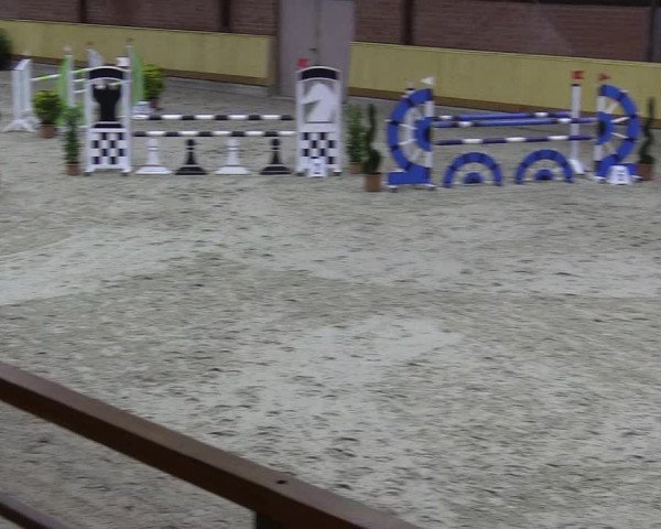 Reitturnier Hamburg-Friedrichshulde/Sylva Kuhrt 2022