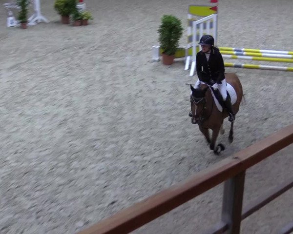 Reitturnier Hamburg-Friedrichshulde/Sylva Kuhrt 2022