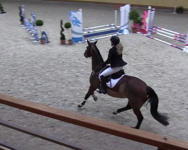 Reitturnier Hamburg-Friedrichshulde/Sylva Kuhrt 2022