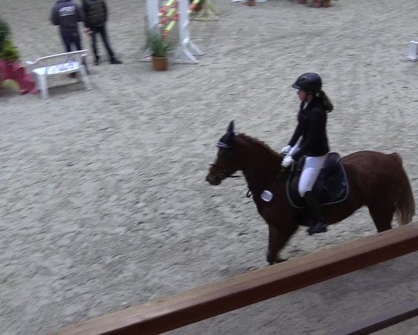 Reitturnier Hamburg-Friedrichshulde/Sylva Kuhrt 2022