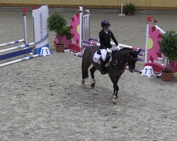 Reitturnier Hamburg-Friedrichshulde/Sylva Kuhrt 2022