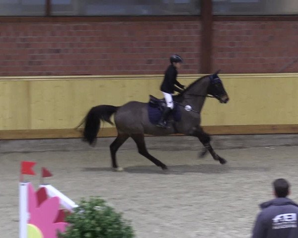 Reitturnier Hamburg-Friedrichshulde/Sylva Kuhrt 2022