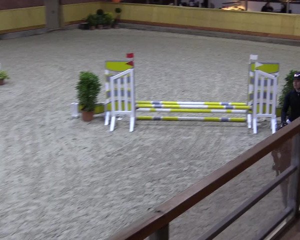 Reitturnier Hamburg-Friedrichshulde/Sylva Kuhrt 2022