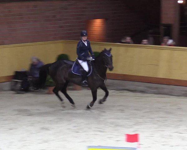 Reitturnier Hamburg-Friedrichshulde/Sylva Kuhrt 2022