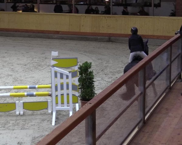 Reitturnier Hamburg-Friedrichshulde/Sylva Kuhrt 2022