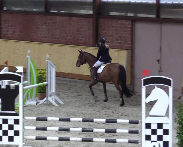 Reitturnier Hamburg-Friedrichshulde/Sylva Kuhrt 2022