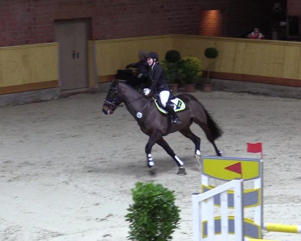 Reitturnier Hamburg-Friedrichshulde/Sylva Kuhrt 2022