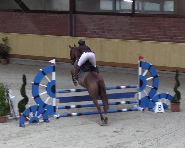 Reitturnier Hamburg-Friedrichshulde/Sylva Kuhrt 2022