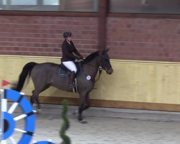 Reitturnier Hamburg-Friedrichshulde/Sylva Kuhrt 2022