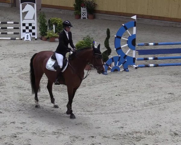 Reitturnier Hamburg-Friedrichshulde/Sylva Kuhrt 2022
