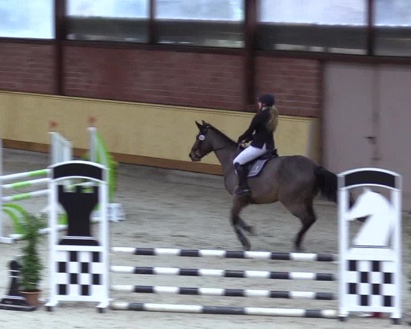 Reitturnier Hamburg-Friedrichshulde/Sylva Kuhrt 2022