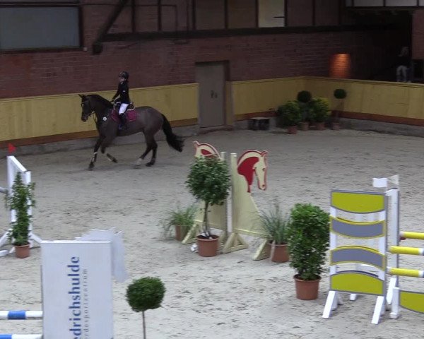 Reitturnier Hamburg-Friedrichshulde/Sylva Kuhrt 2022
