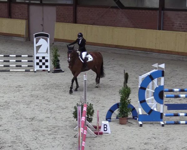 Reitturnier Hamburg-Friedrichshulde/Sylva Kuhrt 2022