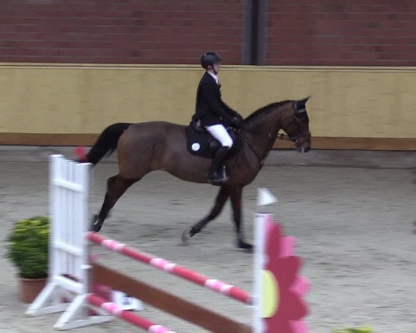 Reitturnier Hamburg-Friedrichshulde/Sylva Kuhrt 2022