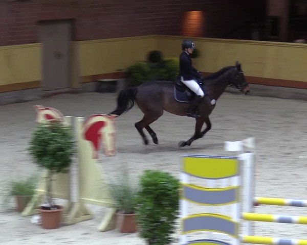 Reitturnier Hamburg-Friedrichshulde/Sylva Kuhrt 2022