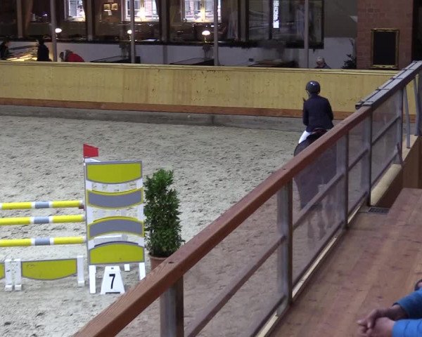 Reitturnier Hamburg-Friedrichshulde/Sylva Kuhrt 2022