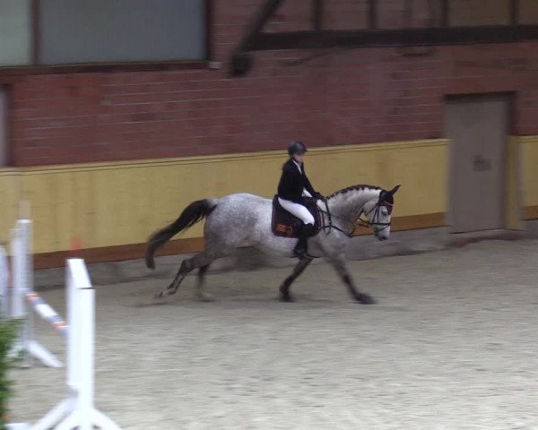 Reitturnier Hamburg-Friedrichshulde/Sylva Kuhrt 2022