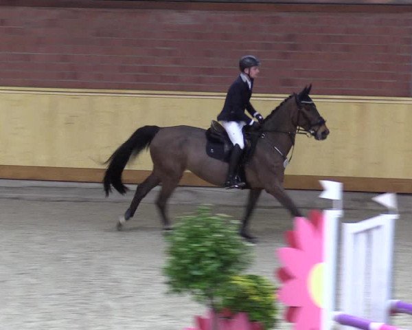 Reitturnier Hamburg-Friedrichshulde/Sylva Kuhrt 2022