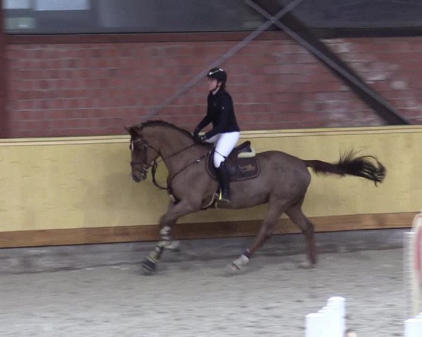 Reitturnier Hamburg-Friedrichshulde/Sylva Kuhrt 2022