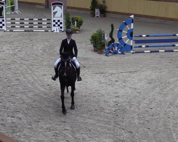 Reitturnier Hamburg-Friedrichshulde/Sylva Kuhrt 2022