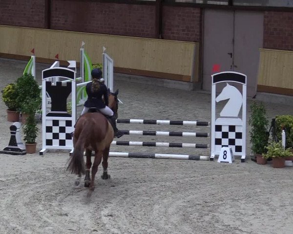 Reitturnier Hamburg-Friedrichshulde/Sylva Kuhrt 2022