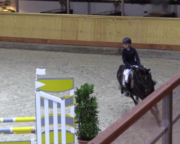 Reitturnier Hamburg-Friedrichshulde/Sylva Kuhrt 2022