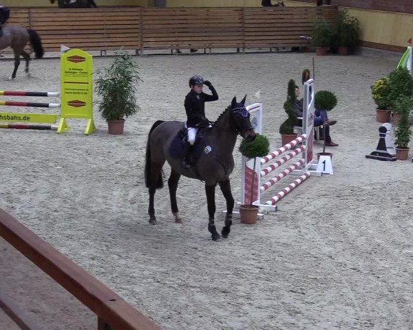 Reitturnier Hamburg-Friedrichshulde/Sylva Kuhrt 2022