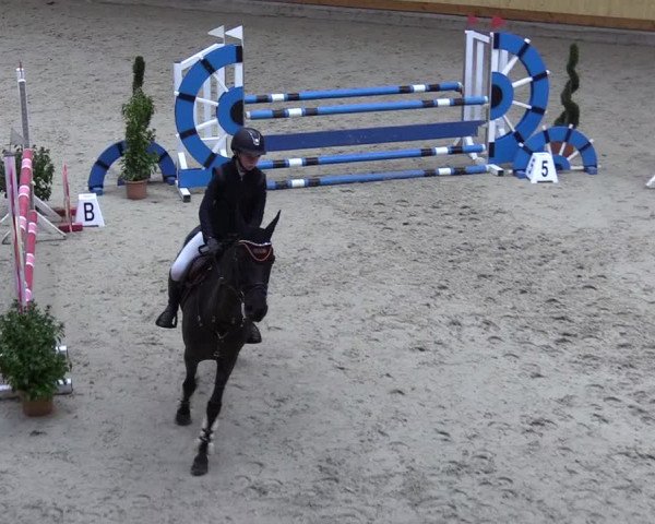 Reitturnier Hamburg-Friedrichshulde/Sylva Kuhrt 2022