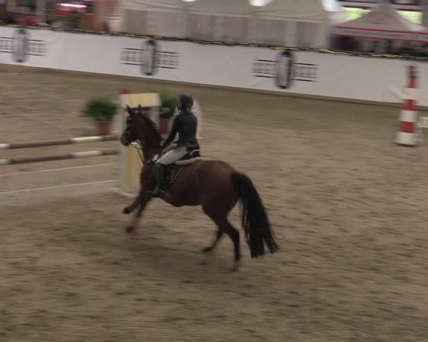 Winterjumping Prussendorf 2022