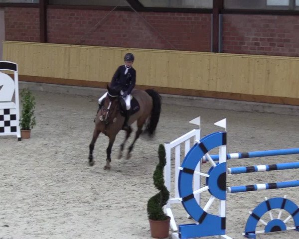 Reitturnier Hamburg-Friedrichshulde/Sylva Kuhrt 2022