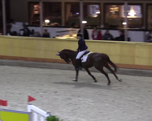 Reitturnier Hamburg-Friedrichshulde/Sylva Kuhrt 2022