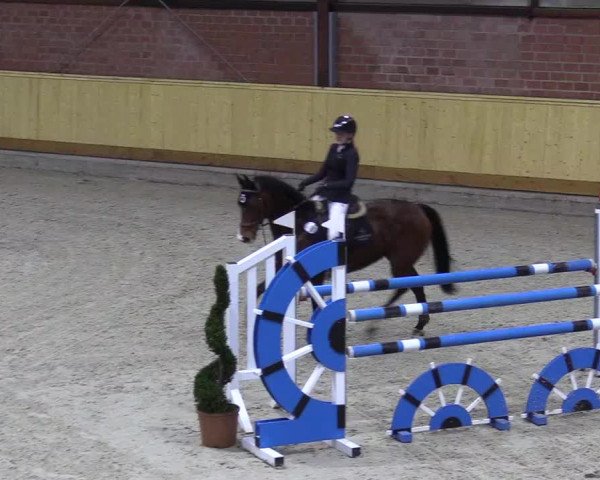 Reitturnier Hamburg-Friedrichshulde/Sylva Kuhrt 2022