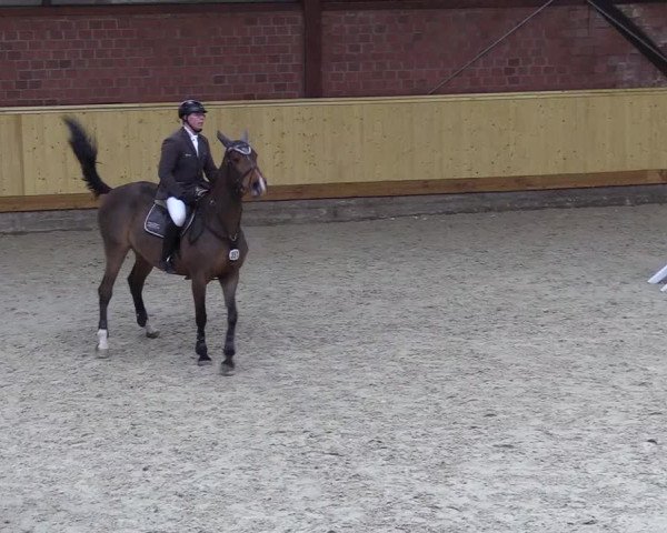 Reitturnier Hamburg-Friedrichshulde/Sylva Kuhrt 2022