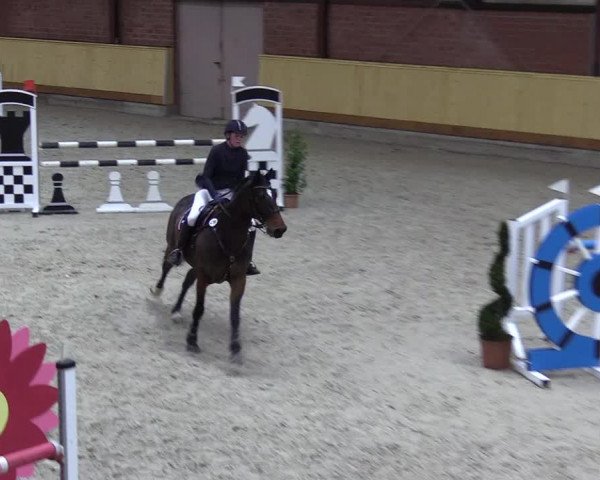 Reitturnier Hamburg-Friedrichshulde/Sylva Kuhrt 2022