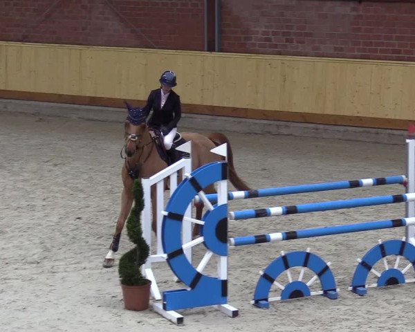 Reitturnier Hamburg-Friedrichshulde/Sylva Kuhrt 2022