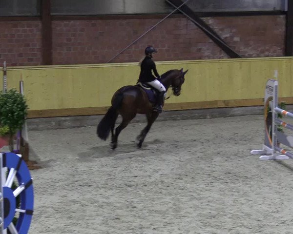 Reitturnier Hamburg-Friedrichshulde/Sylva Kuhrt 2022