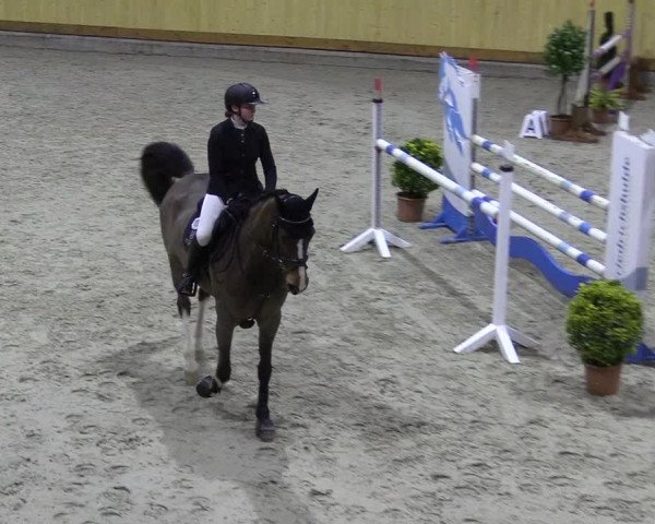 Reitturnier Hamburg-Friedrichshulde/Sylva Kuhrt 2022