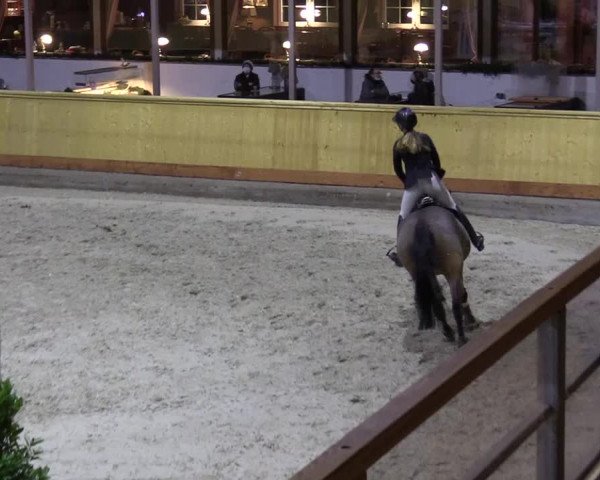 Reitturnier Hamburg-Friedrichshulde/Sylva Kuhrt 2022