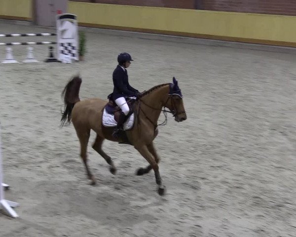 Reitturnier Hamburg-Friedrichshulde/Sylva Kuhrt 2022