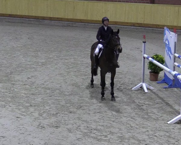 Reitturnier Hamburg-Friedrichshulde/Sylva Kuhrt 2022