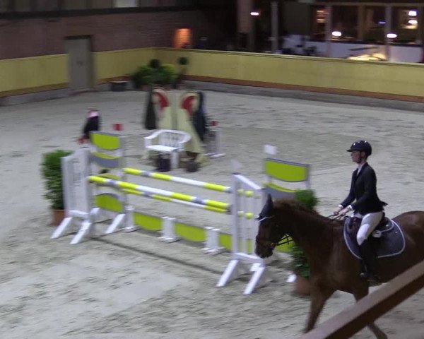 Reitturnier Hamburg-Friedrichshulde/Sylva Kuhrt 2022