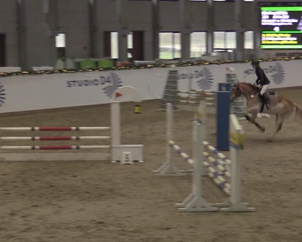 Winterjumping Prussendorf 2022