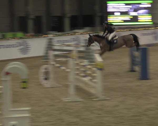 Winterjumping Prussendorf 2022