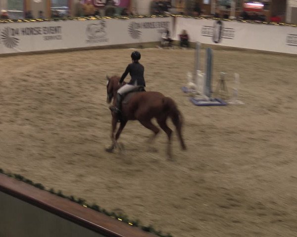 Winterjumping Prussendorf 2022