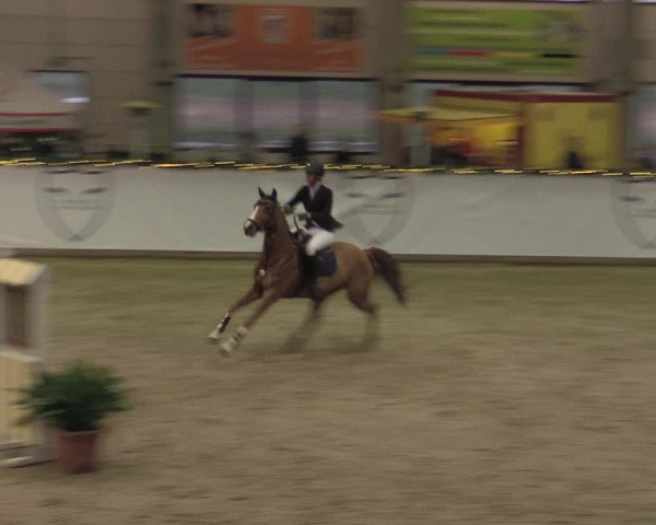 Winterjumping Prussendorf 2022